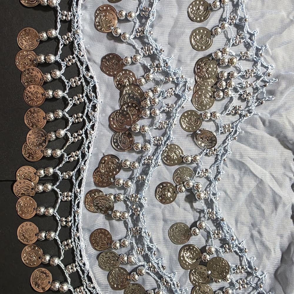 Silver Coin Fringe Belt - Women's Accessory Bellydancing hip scarves